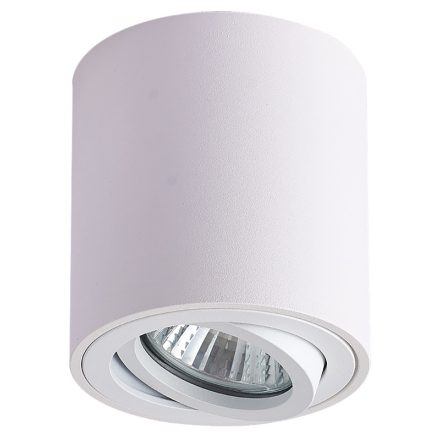 Mennyezeti spot lámpatest, hengeres, dönthető, fehér, SPGU10MDW